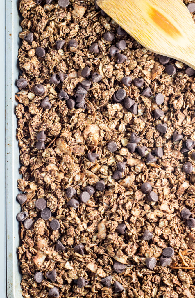 Double Chocolate Peanut Butter Granola-packed with protein and sweetened with maple syrup making it a great option for a snack and a healthier way to treat yourself! 