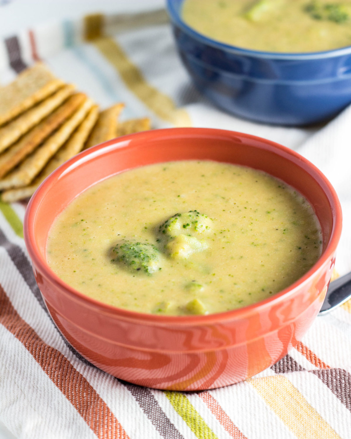 Vegan Broccoli Cheese Soup 