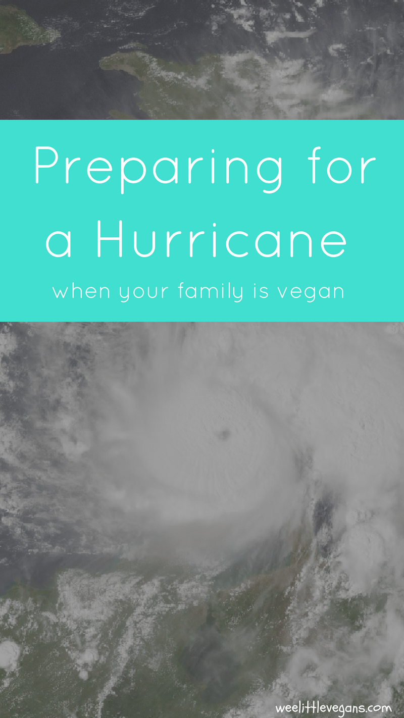 Preparing for a Hurricane as a Vegan Family