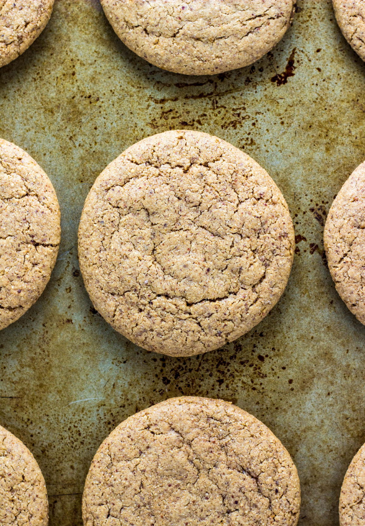 Vegan Almond Butter Cookies