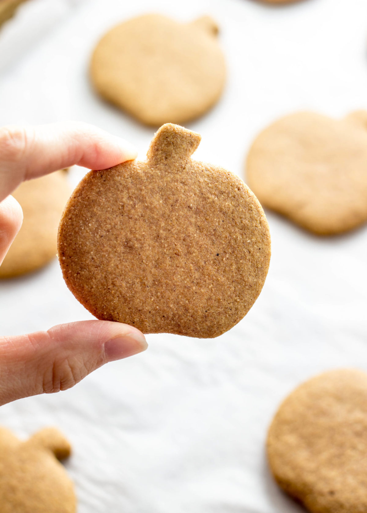 Frosted Pumpkin Gingerbread Cookies 