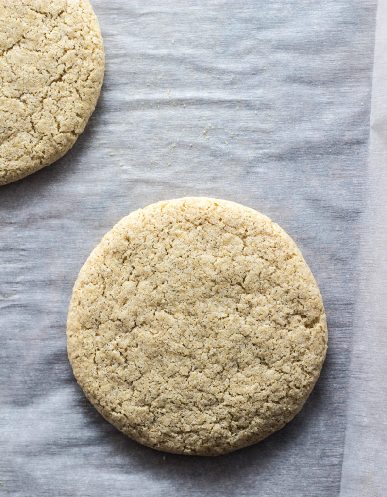 Vanilla Cardamom Sugar Cookies 