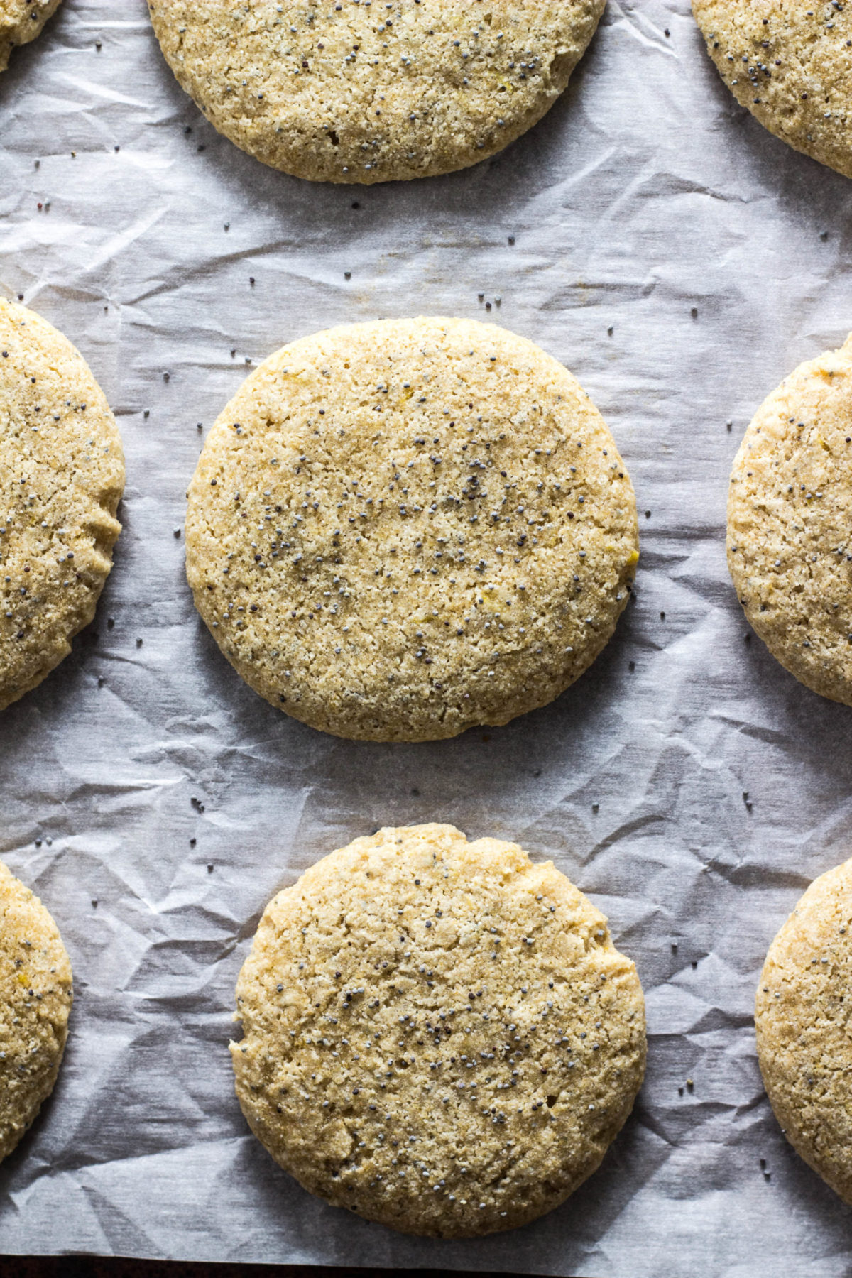 Lemon Poppy Seed Sugar Cookies