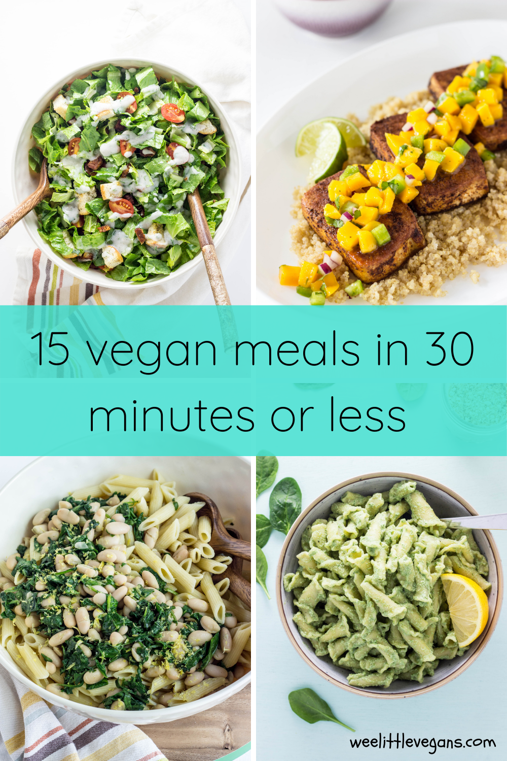 15 vegan meals in 30 minutes of less Pinterest Image 