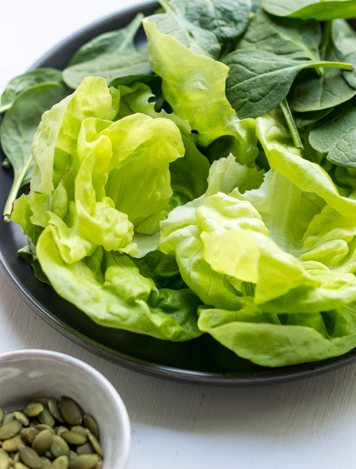 Close up of lettuce