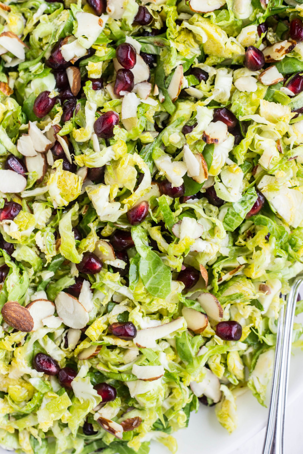 Extreme close up with Brussels Sprout Pomegranate Salad.