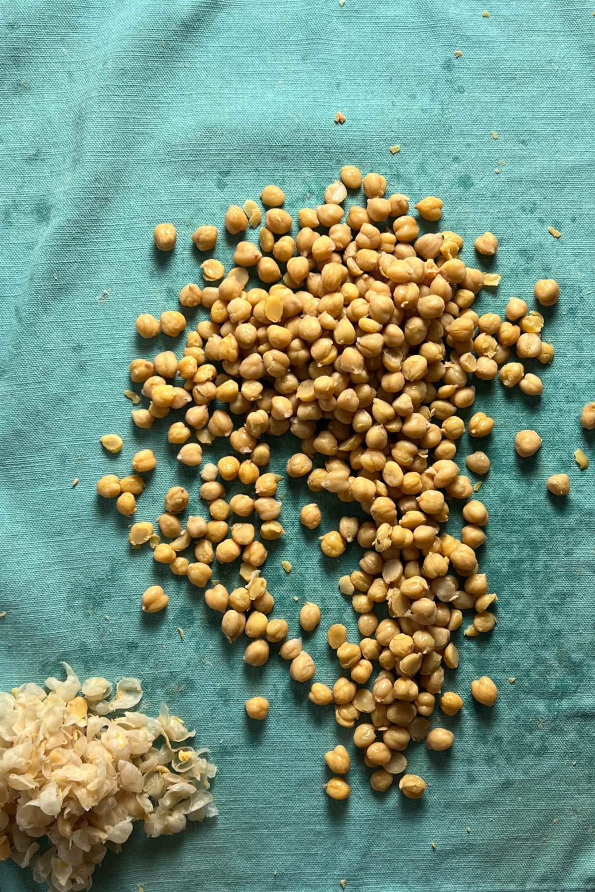 Chickpeas with the skins removed on a blue cloth. 
