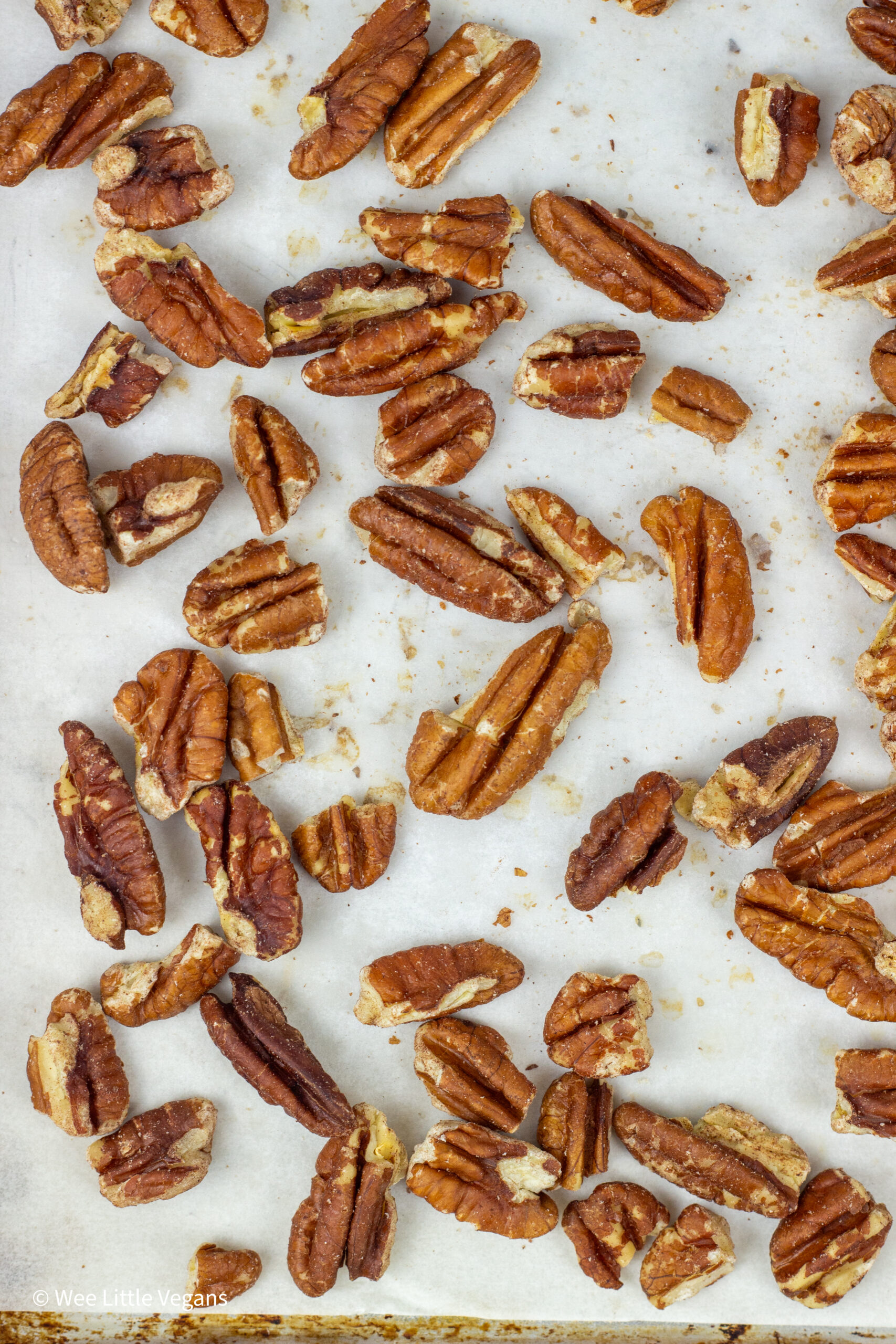 Overhead view of toasted pecans on a baking sheet.