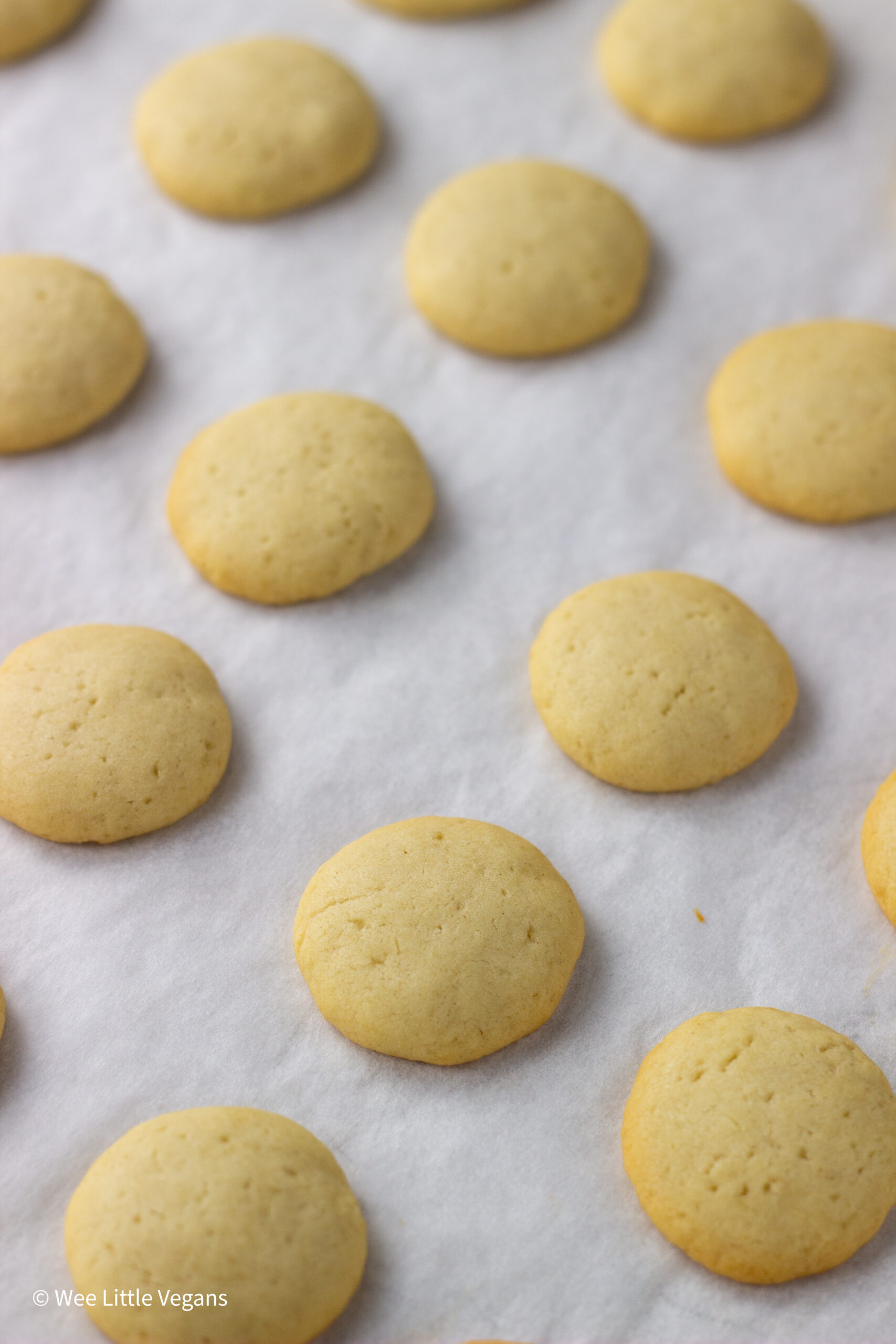 Baked Vegan Vanilla Wafers on a sheet pan.