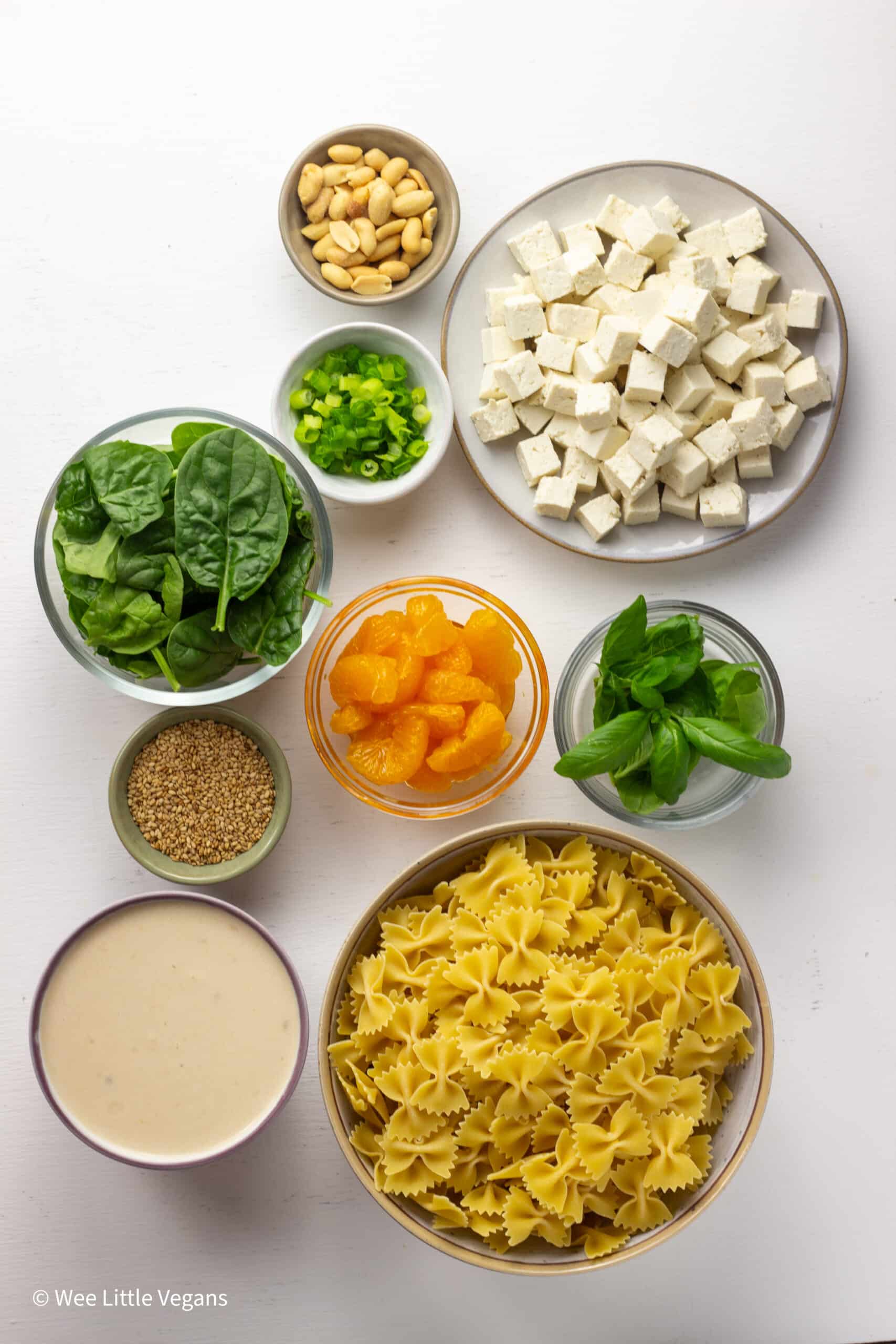 Overhead shot of ingredients for Sesame Tofu Pasta Salad.