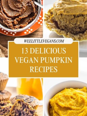 13 Delicious Vegan Pumpkin Recipes Feature Collage