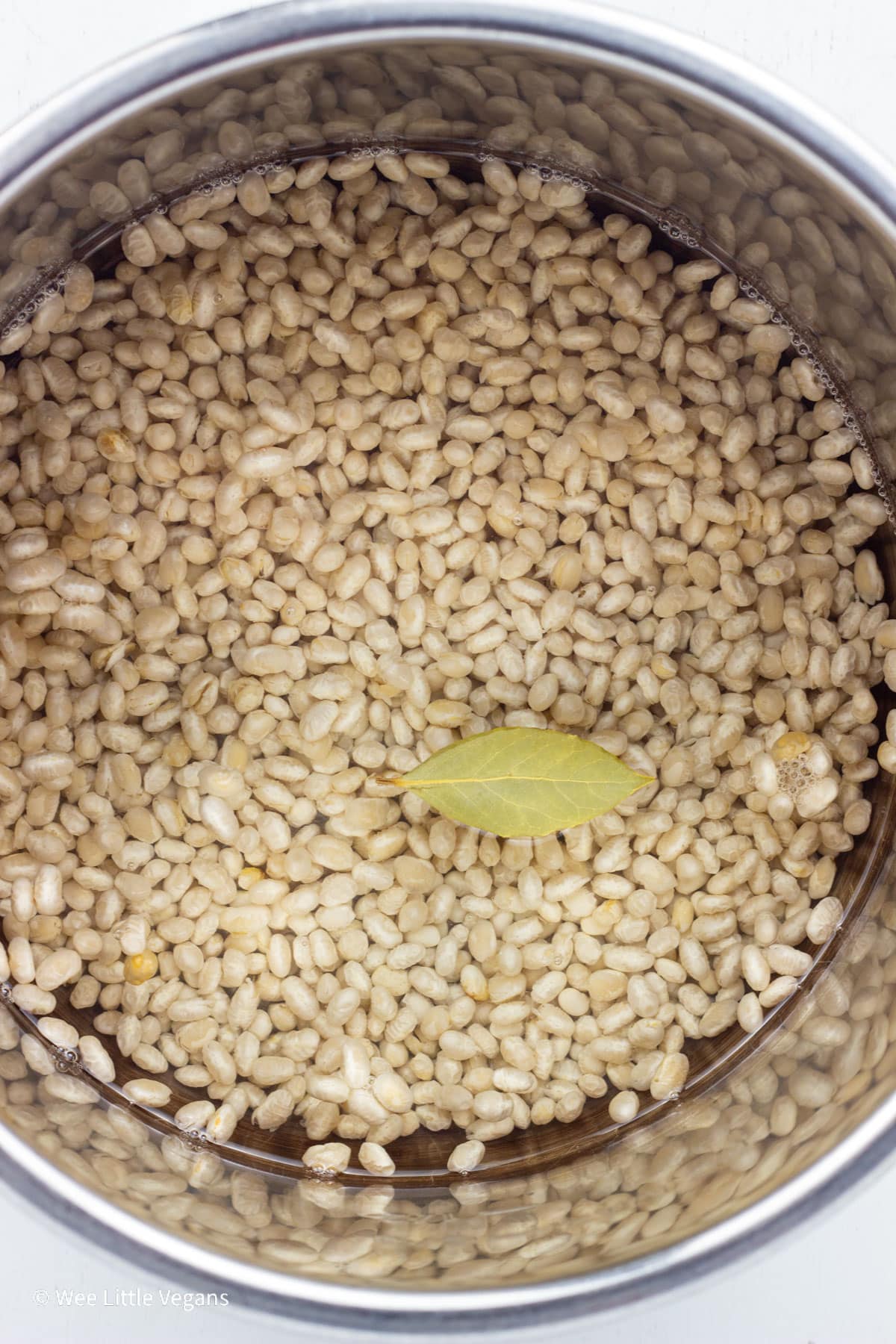 Overhead view of dried navy beans, water and a bay leaf in a pot before cooking.