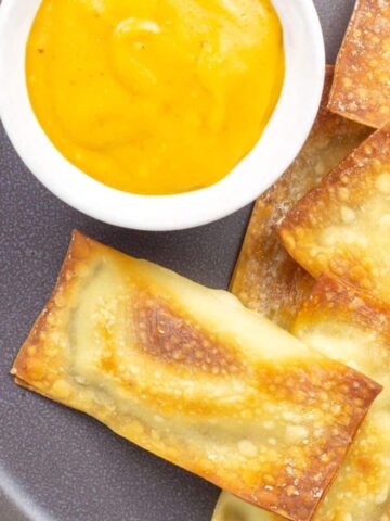 Wonton Ravioli Feature Image