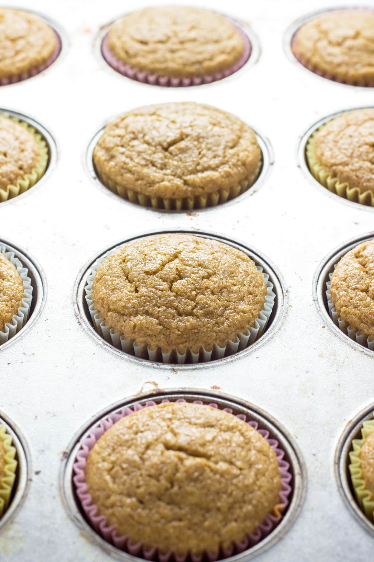 Vegan Whole Wheat Cupcakes in a muffin pan after baking.