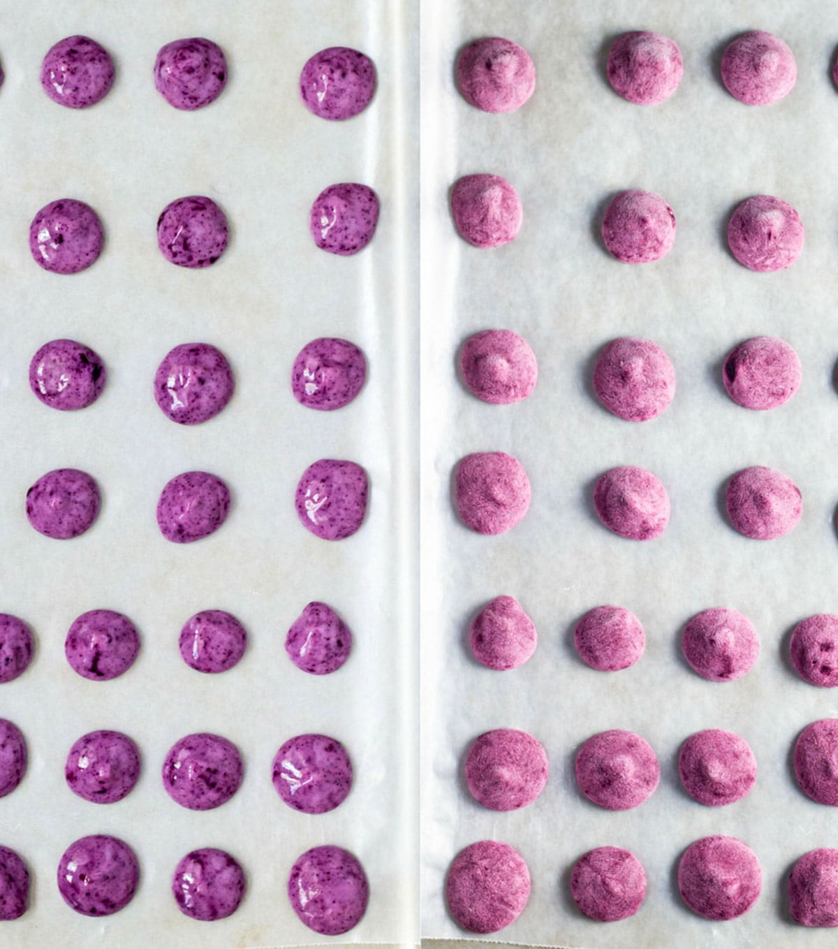 The left side of the image has small dots of blueberry yogurt on a parchment lined sheet pan. The right side of the image has the same dots after freezing.