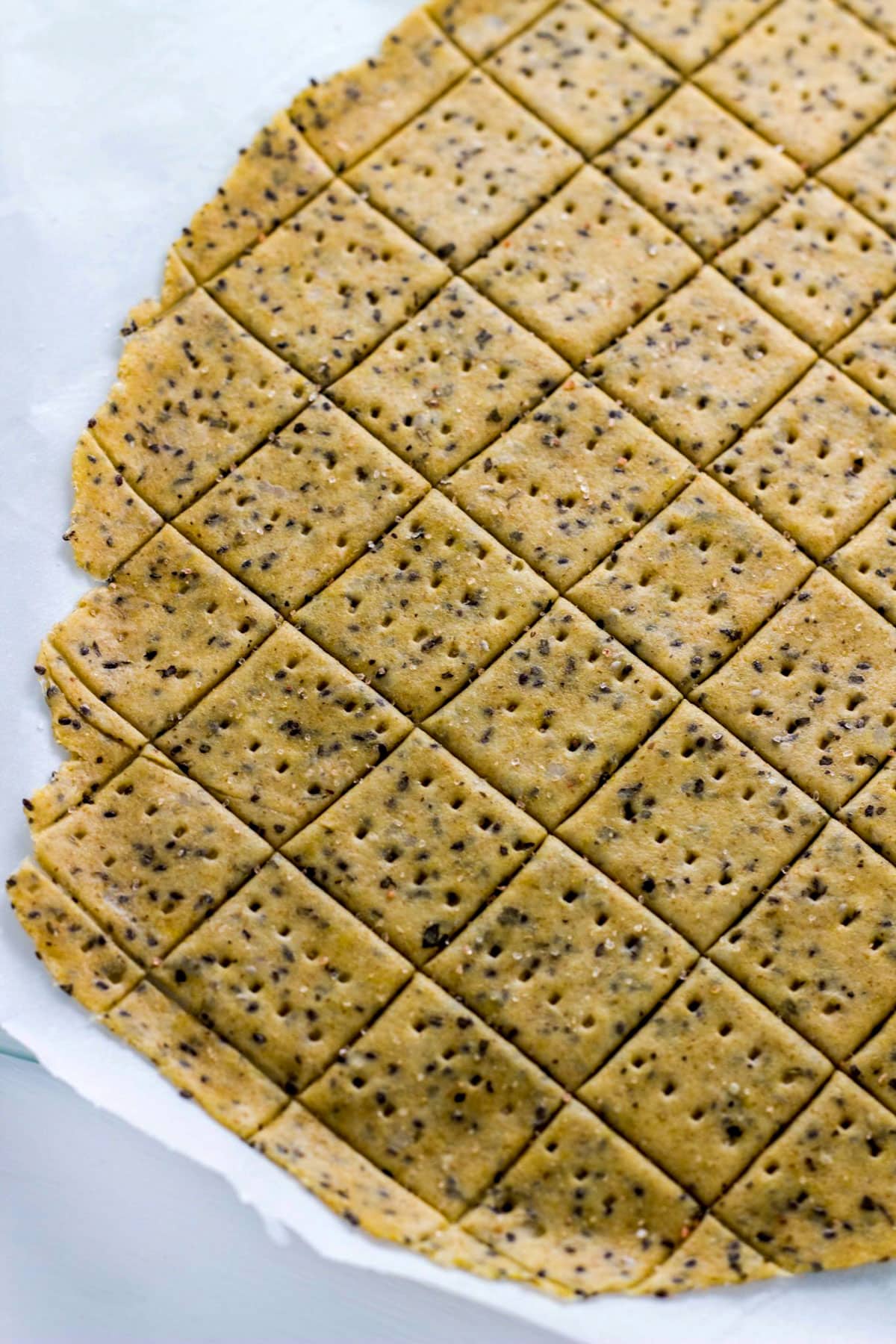 Cracker dough rolled out on parchment paper. The dough has been scored and pricked but not baked yet.
